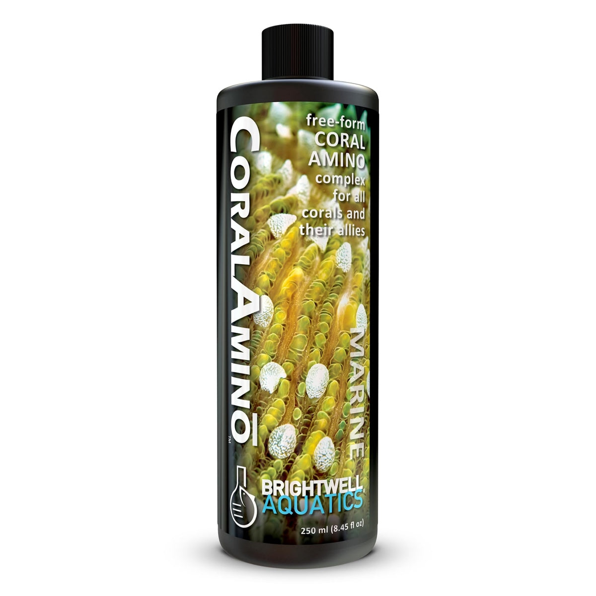 CoralAmino – Advanced Amino Acid Supplement for Coral Growth & Coloration Brightwell Aquatics