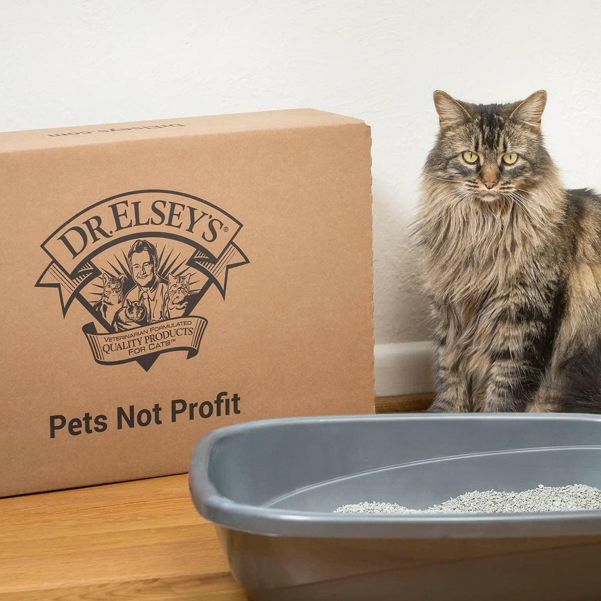 Dr. Elsey's Classic Precious Cat Litter Dr. Elsey's