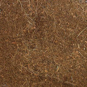 Zoo Med Eco Earth® Coconut Fiber Substrate Zoo-Med