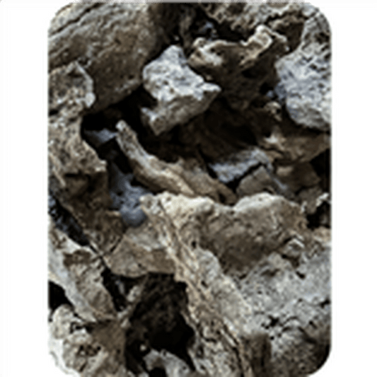 Feller Stone - Bulk Lace Rock per pound Feller Stone