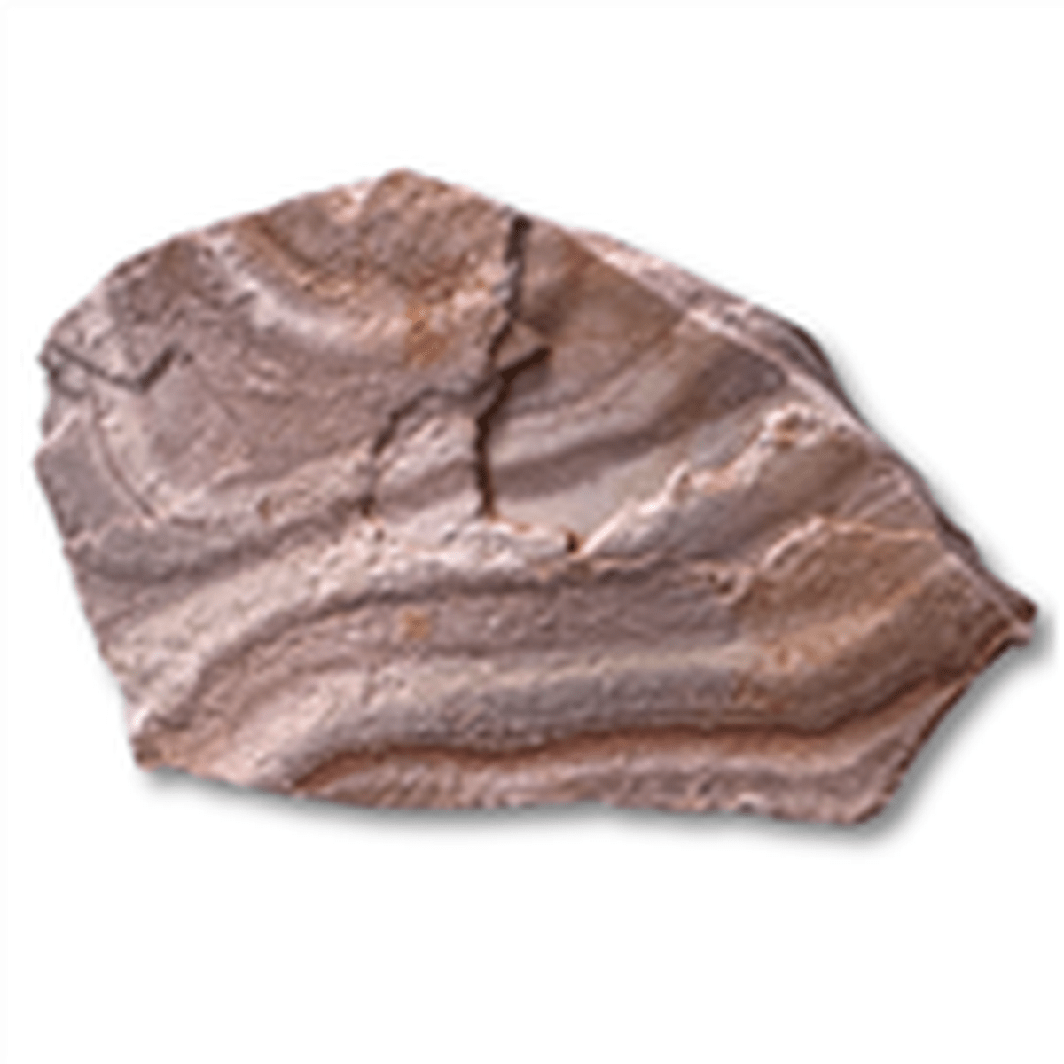 Feller Stone - Rainbow Slate Rock 25 lbs Feller Stone