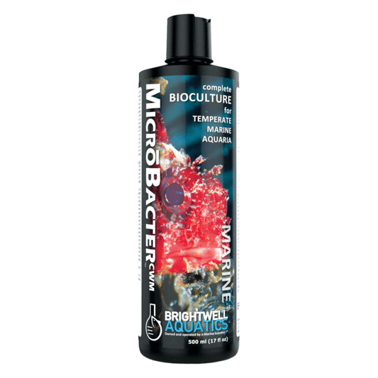 MicroBacter CWM – Complete Bioculture for Temperate Marine Aquariums Brightwell Aquatics