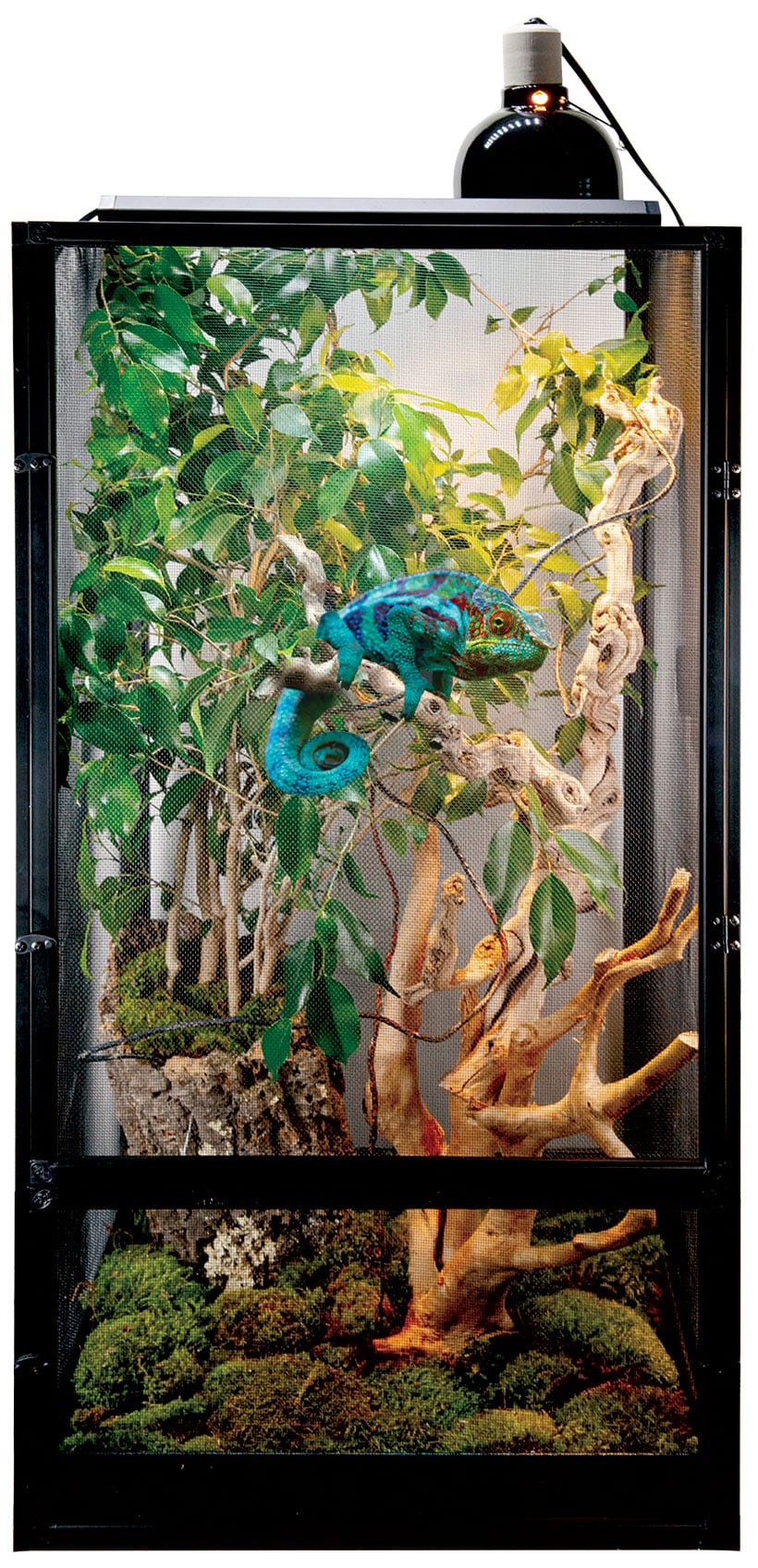 Zoo Med Deluxe ReptiBreeze® Chameleon Kit