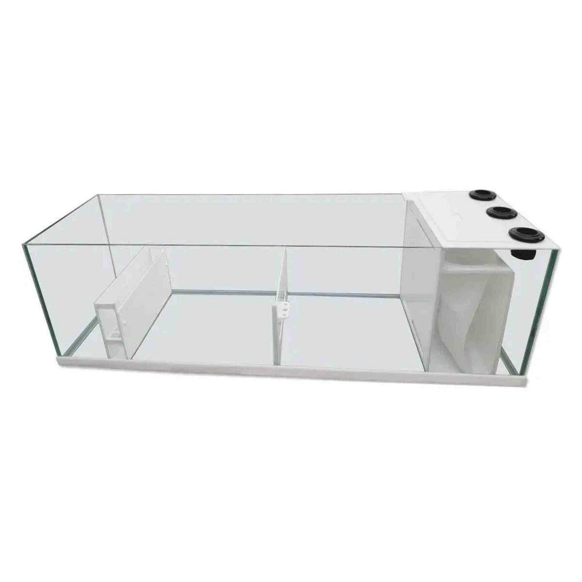 OceanVue PRO 60" Rimless Glass Sump