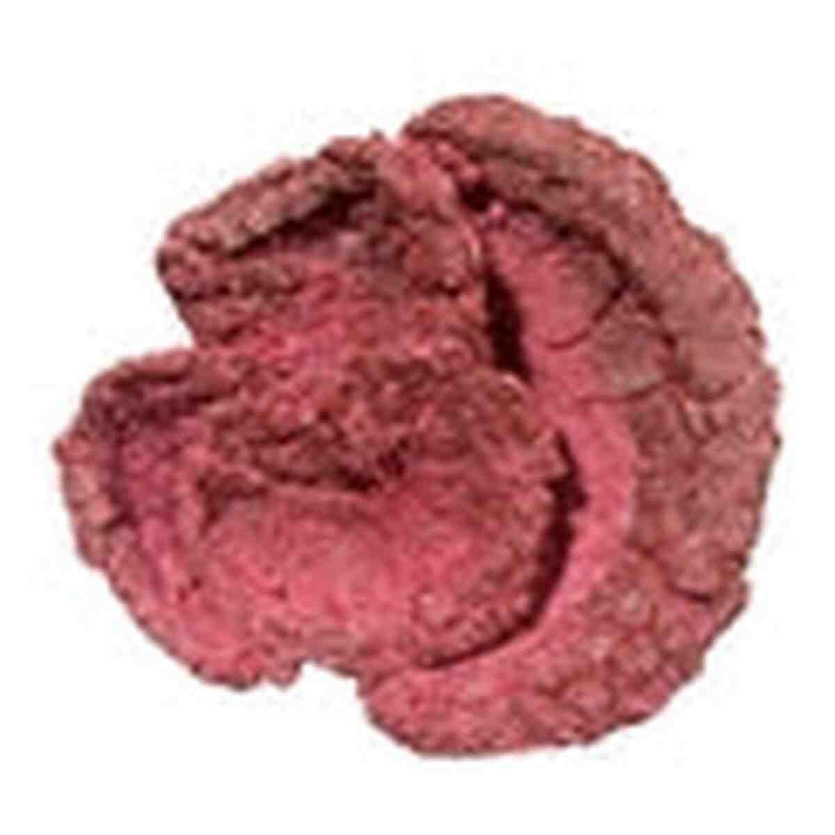 Real Reef Rock Box of Cup Corals Rock Assorted Box 10 PCS Real Reef