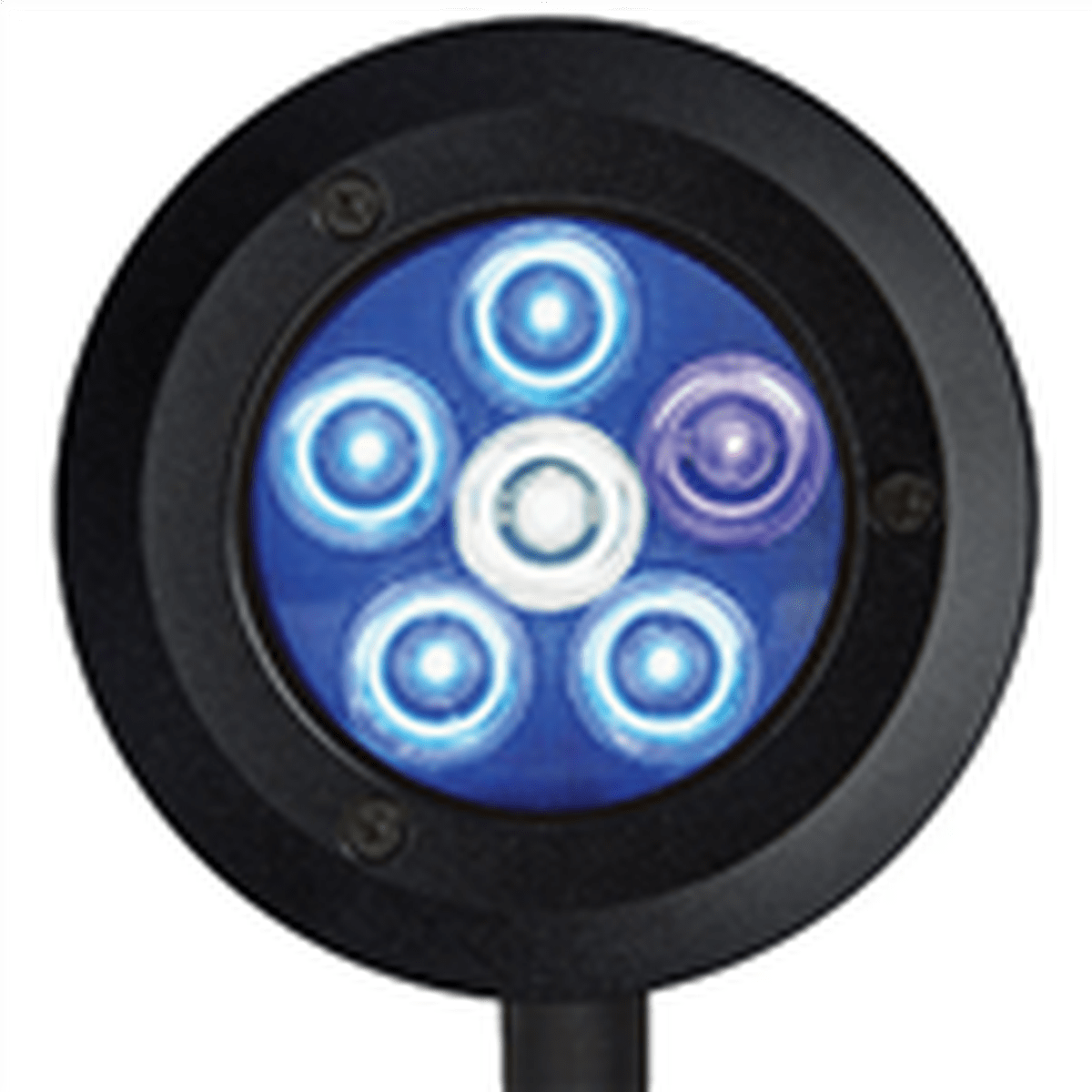ReefBreeders Pico LED 9 Watt - Saltwater Reef Reef Breeders
