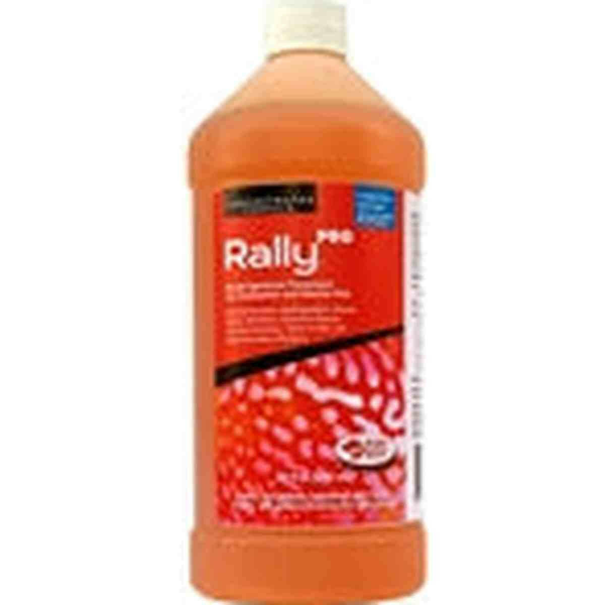 Ruby Reef Rally Pro 32oz Ruby Reef