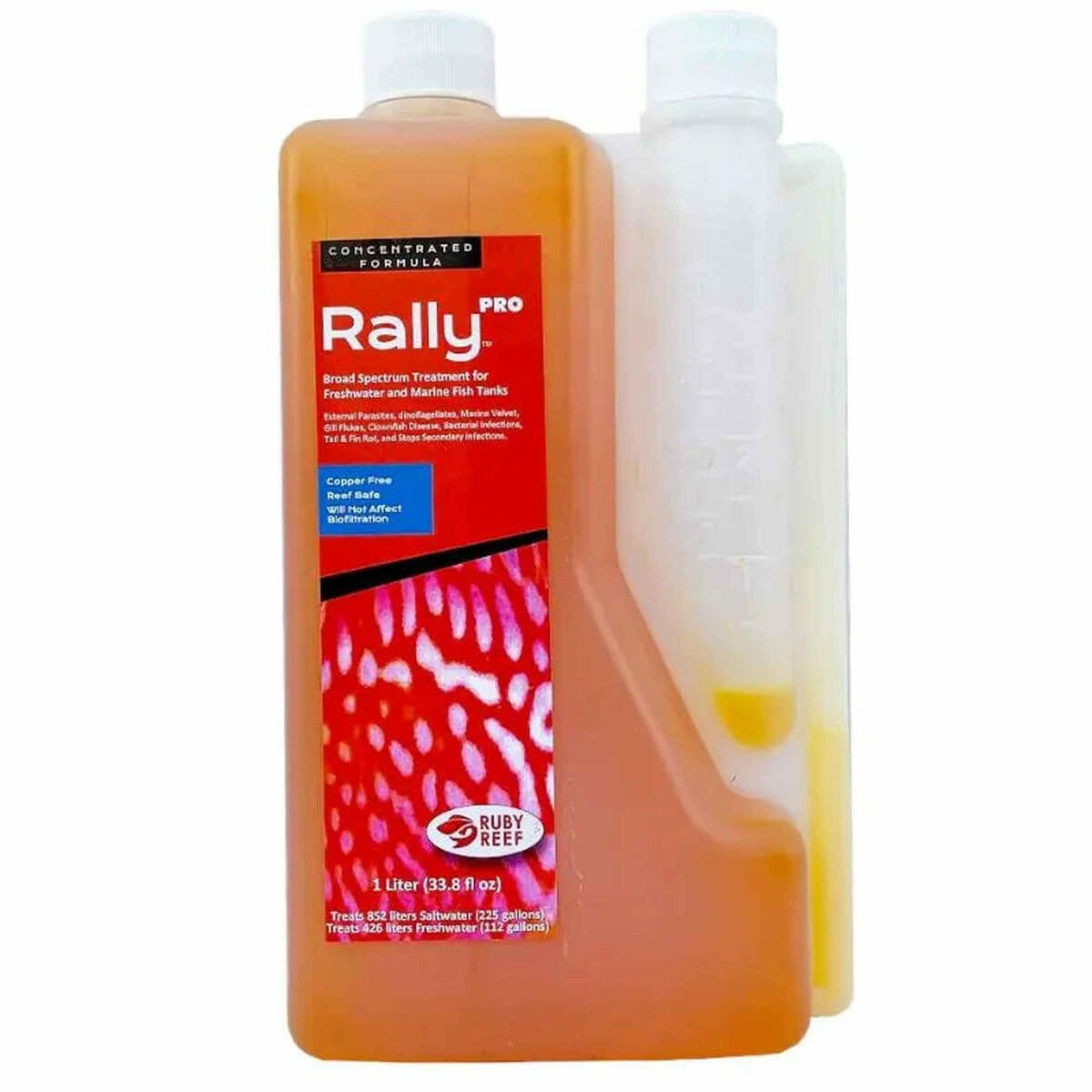 Ruby Reef Rally Pro Ruby Reef