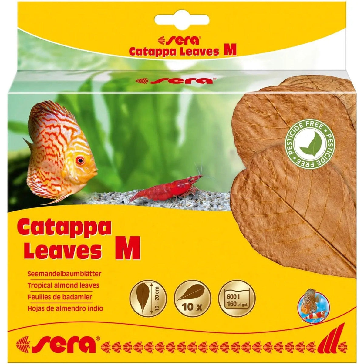 Sera Catappa Leaves Sera