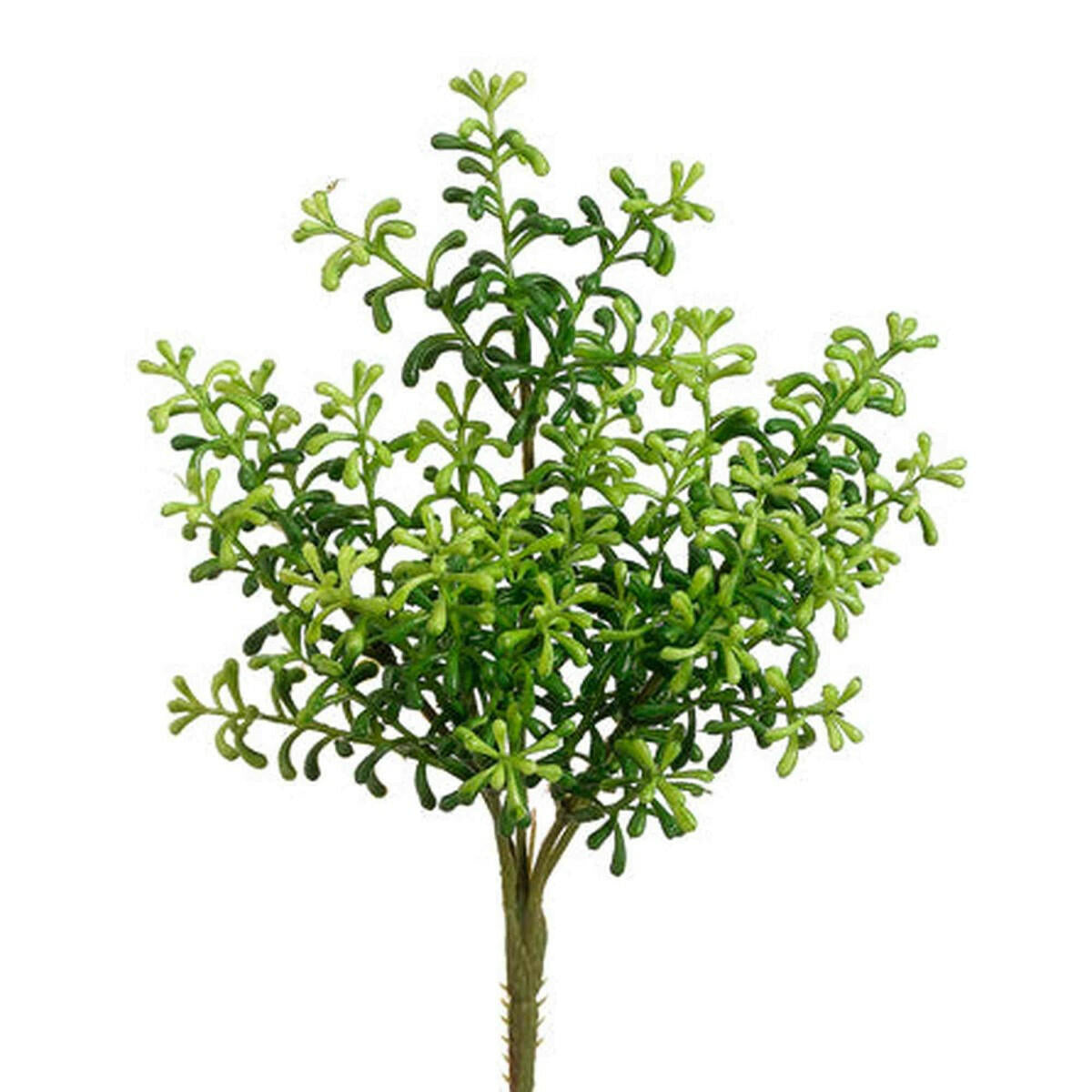 Tideline Naturescapes 10" Sedum Bush Green Tideline