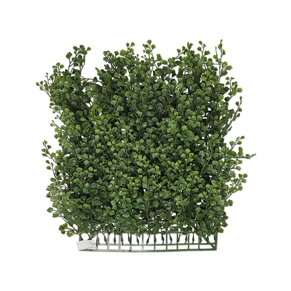 Tideline Naturescapes 11.5" Hanging Maidenhair Fern Mat Tideline