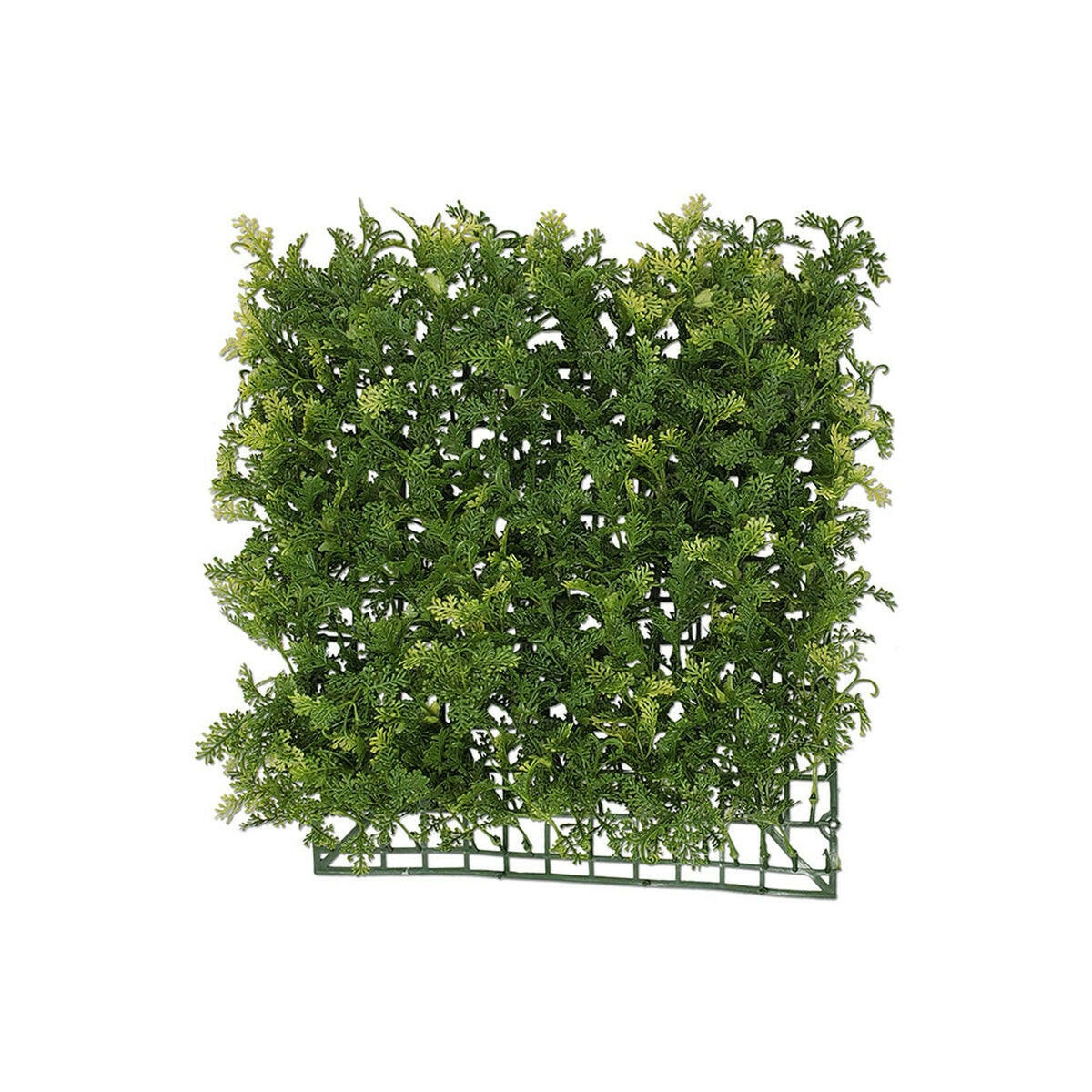 Tideline Naturescapes 11.5" Hanging Selaginella Mat Tideline