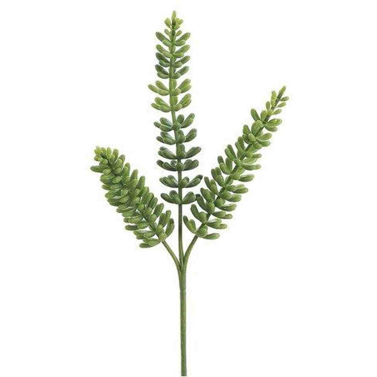 Tideline Naturescapes 11" Donkey Tail Spray Green Tideline