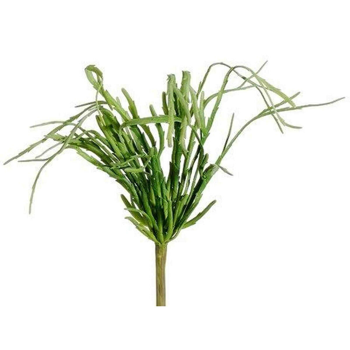 Tideline Naturescapes 13" Hanging Cactus Pick Green Tideline