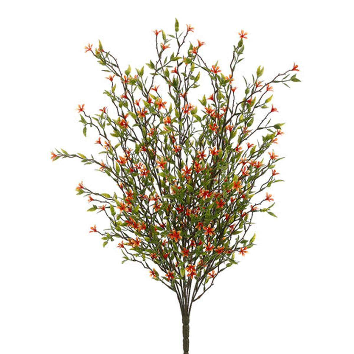 Tideline Naturescapes 20" Wild Starflower Bush Orange Tideline