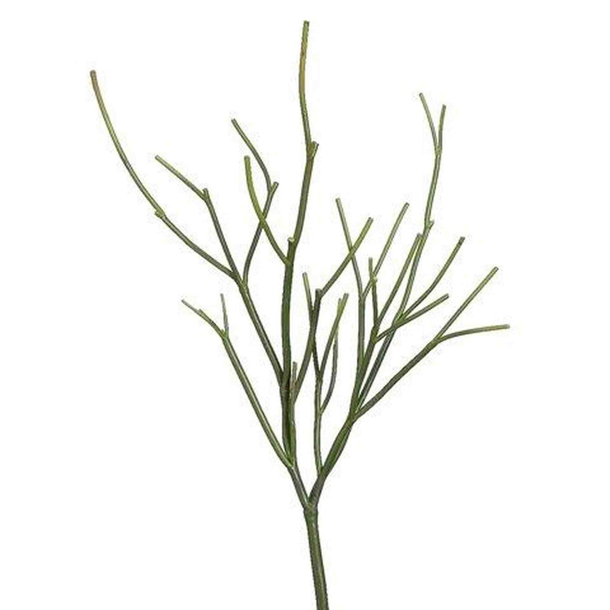 Tideline Naturescapes 23" Pencil Cactus Plant Green Tideline