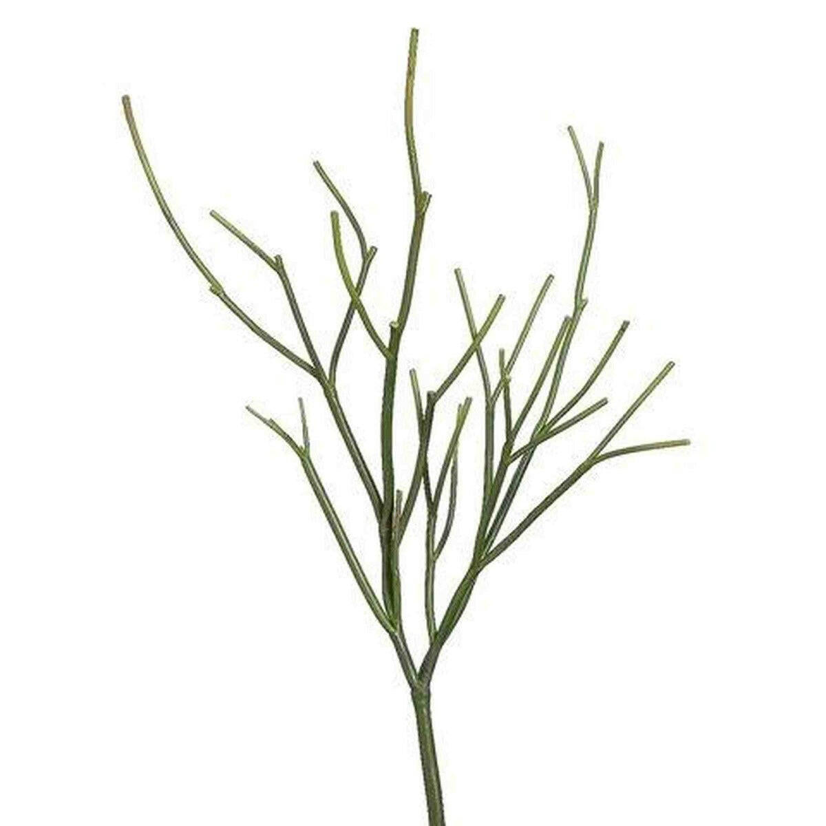 Tideline Naturescapes 23" Pencil Cactus Plant Green Tideline