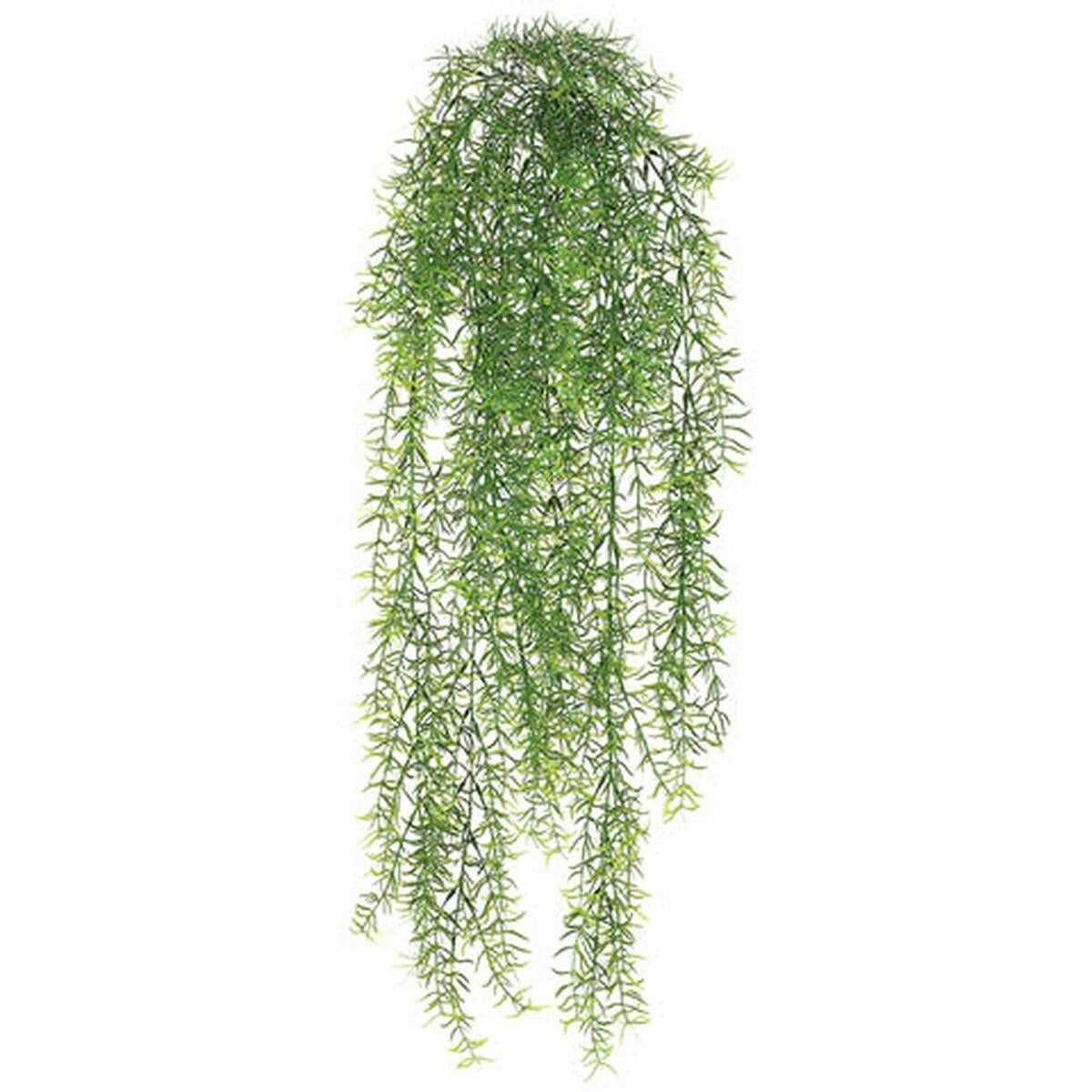 Tideline Naturescapes 30" Sprengeri Hanging Bush Green Tideline