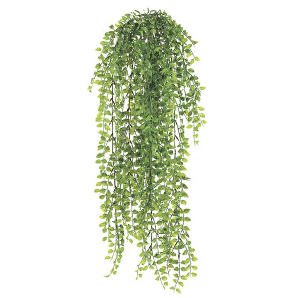 Tideline Naturescapes 32" Small Pea Leaf Bush Green Tideline
