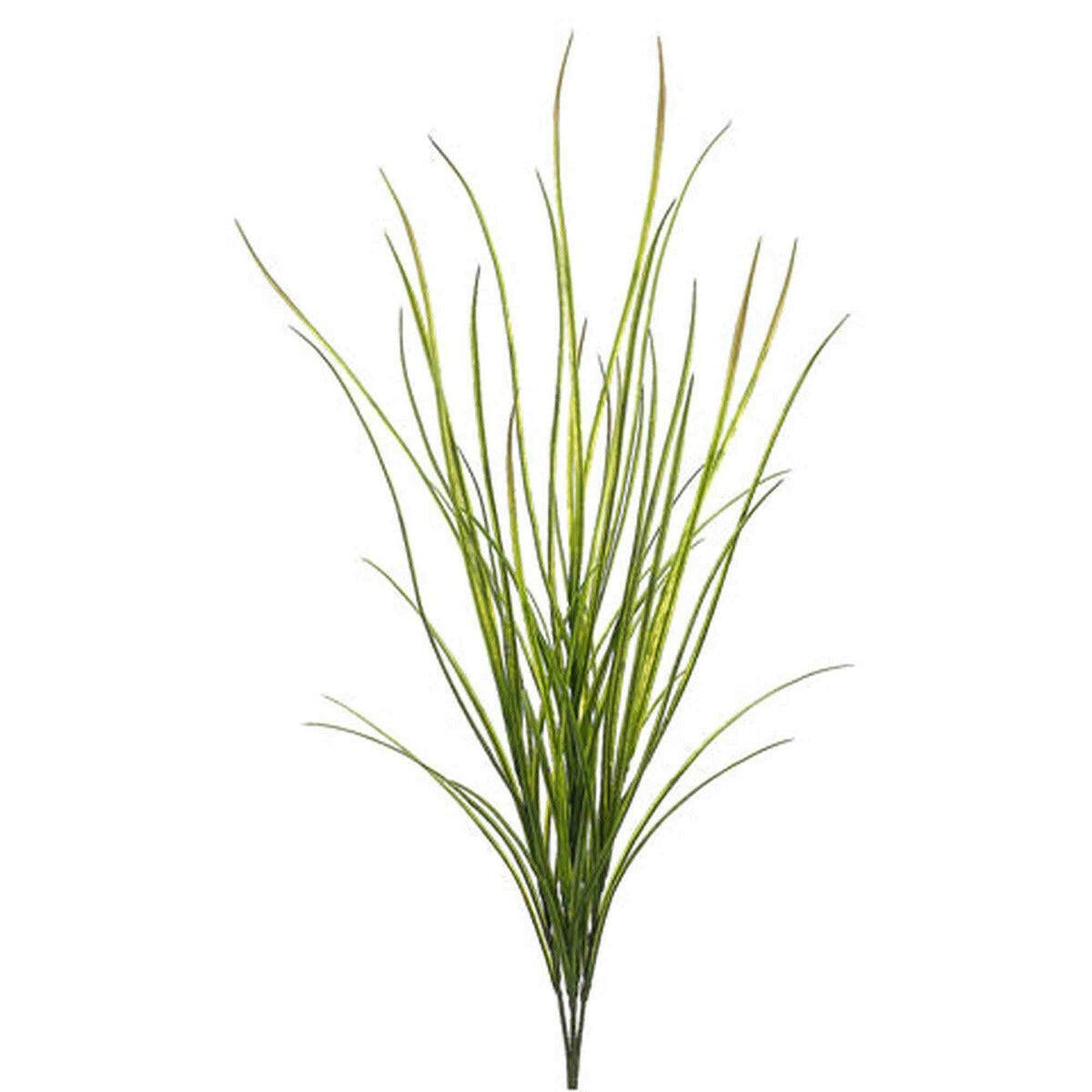 Tideline Naturescapes 42" Tall Wild Grass Bush Green Tideline