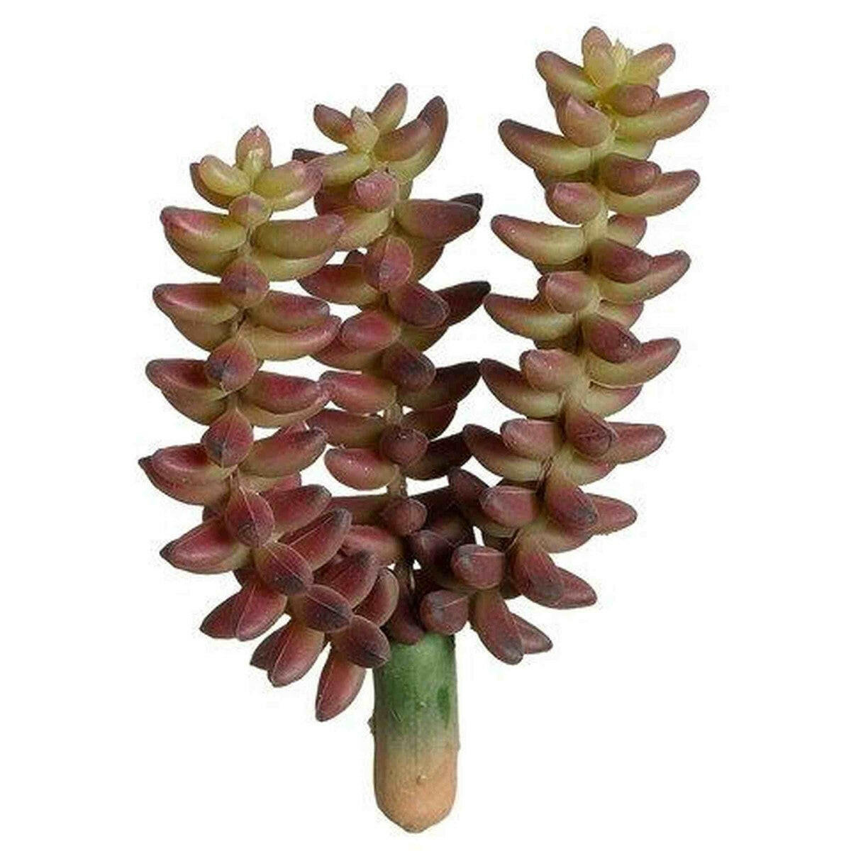 Tideline Naturescapes 5" Donkey Tail Pick Burgundy Green Tideline