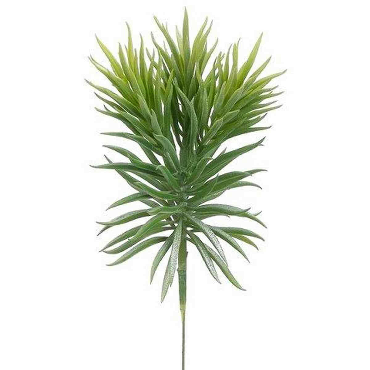 Tideline Naturescapes 7" Senecio Pick Green Tideline