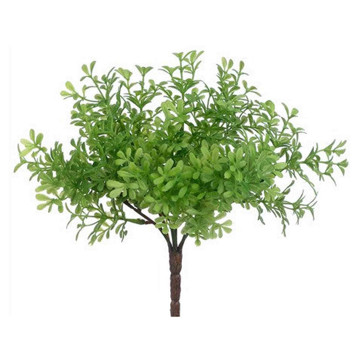 Tideline Naturescapes 8" Thyme Bush Green Tideline