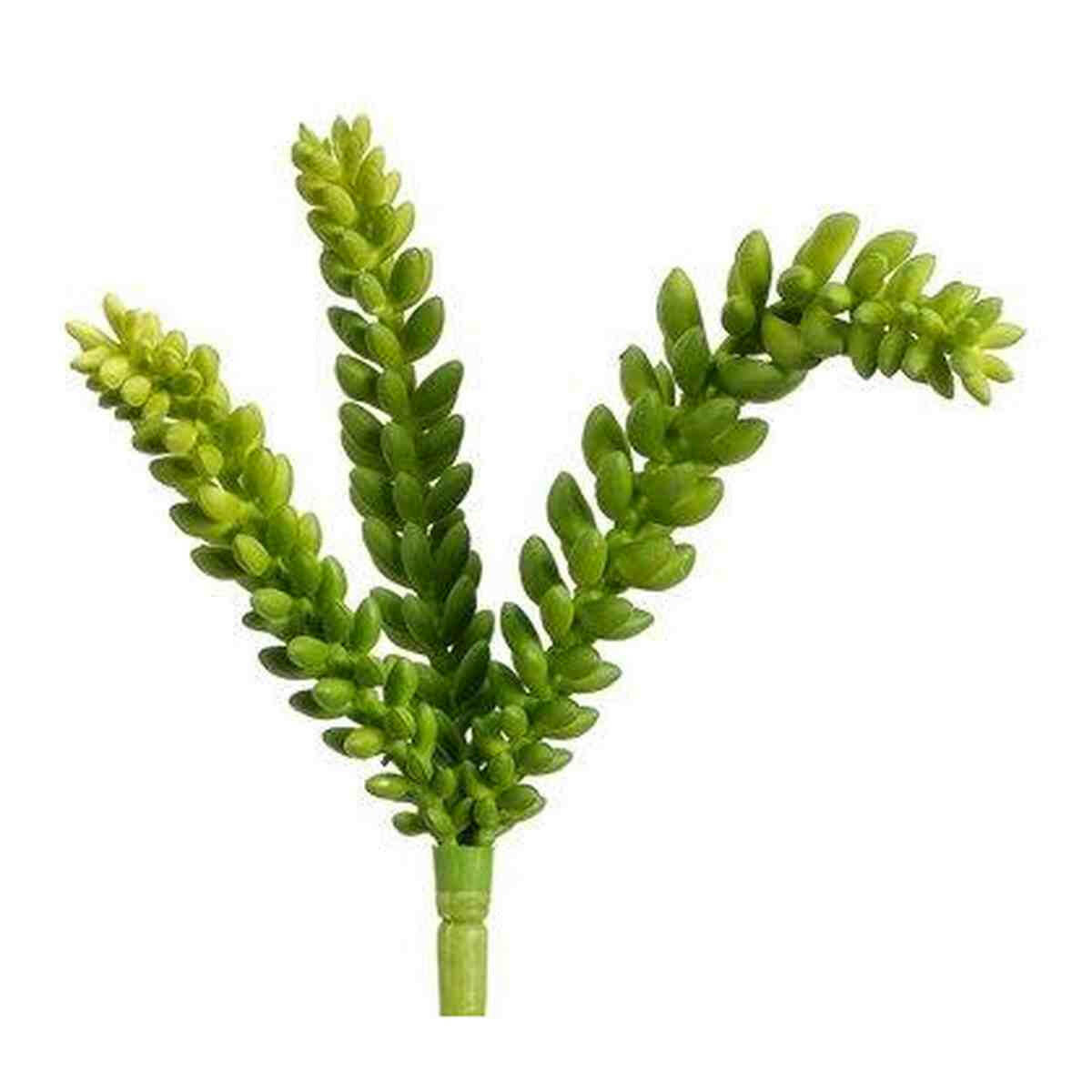 Tideline Naturescapes 9.5" Hanging Sedum Bush Green Tideline