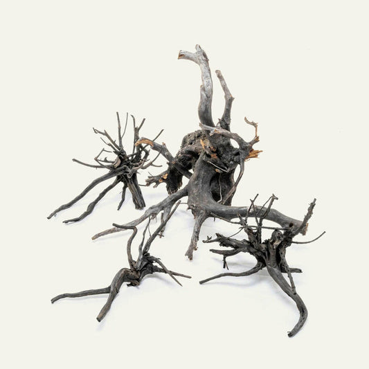 Tideline Naturescapes Black Spider Wood Tideline