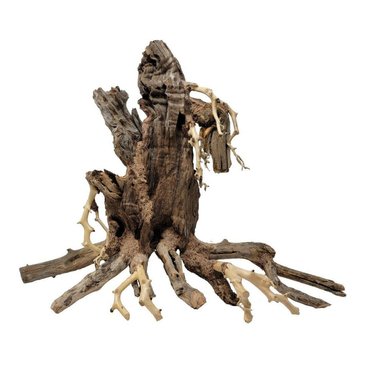 Tideline Naturescapes Bonsai Stump Tideline