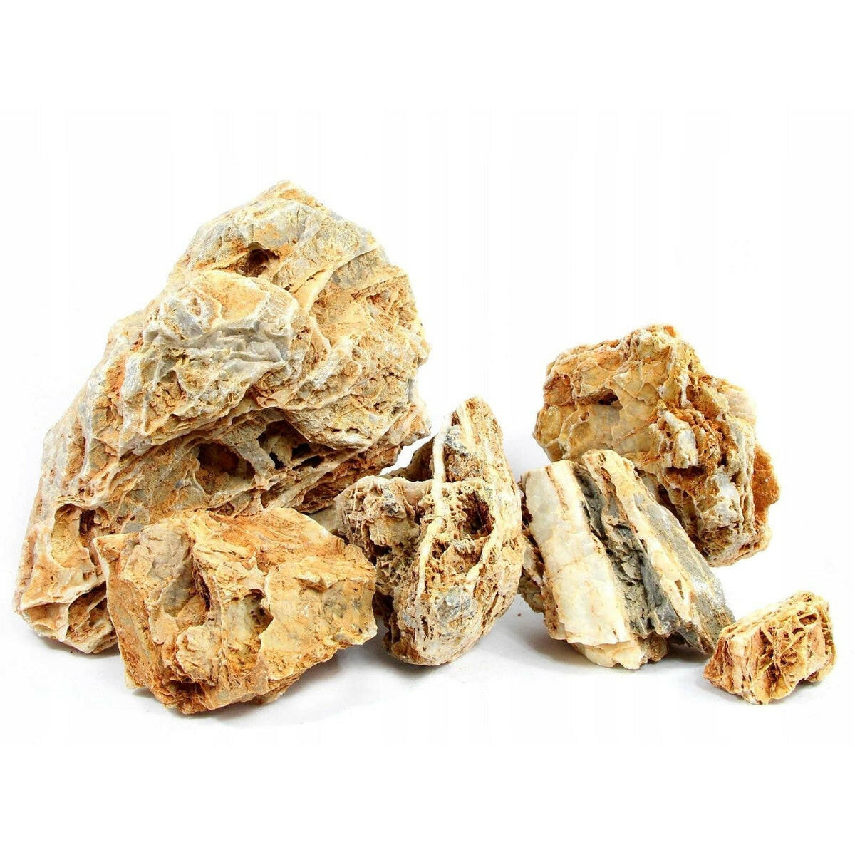 Tideline Naturescapes Chicken Bone Stone Tideline