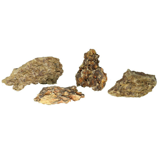 Tideline Naturescapes Perforated Stone Dragon Stone Tideline