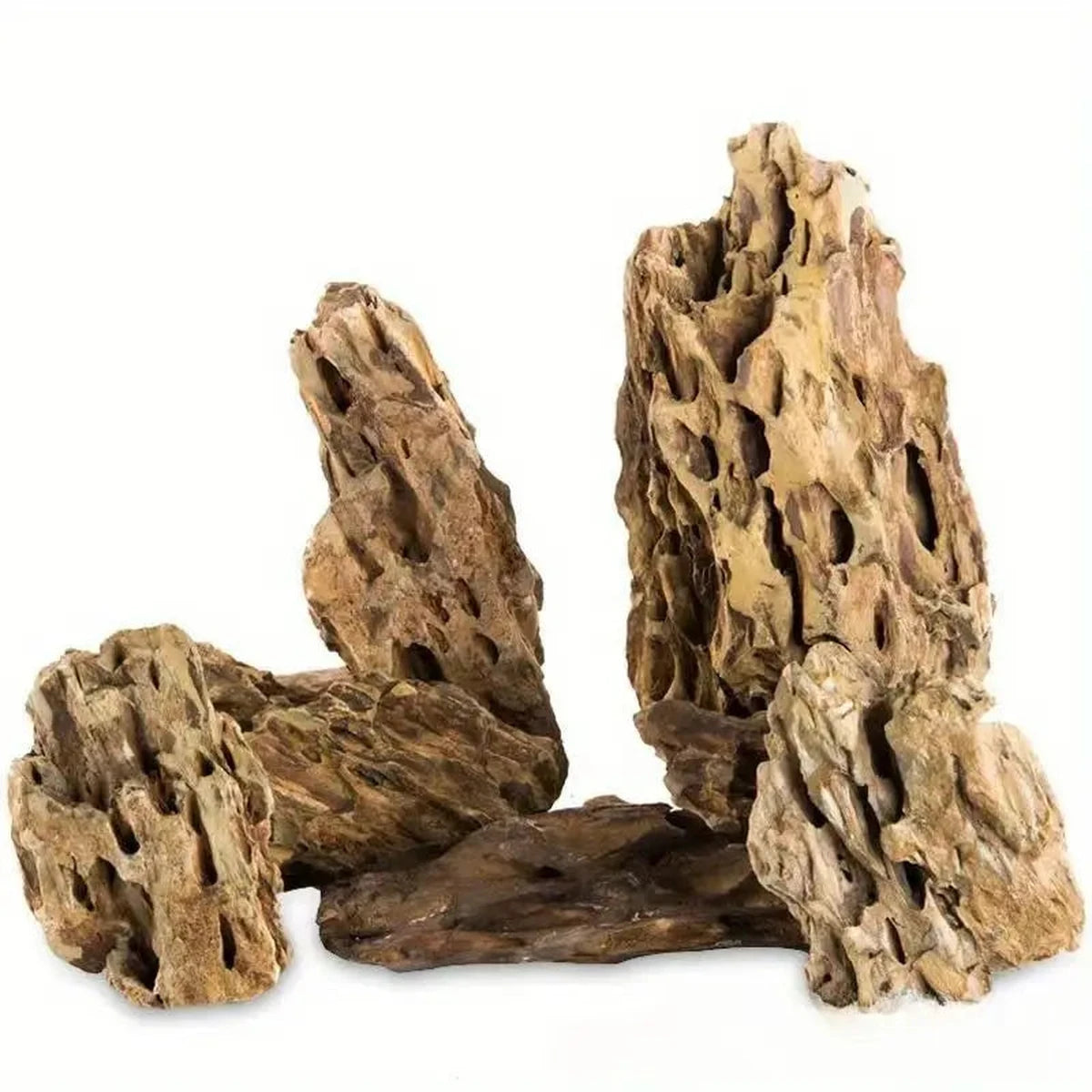 Tideline Naturescapes Perforated Stone (Dragon Stone