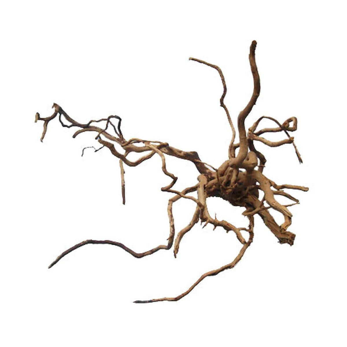 Tideline Naturescapes Spider Wood Tideline