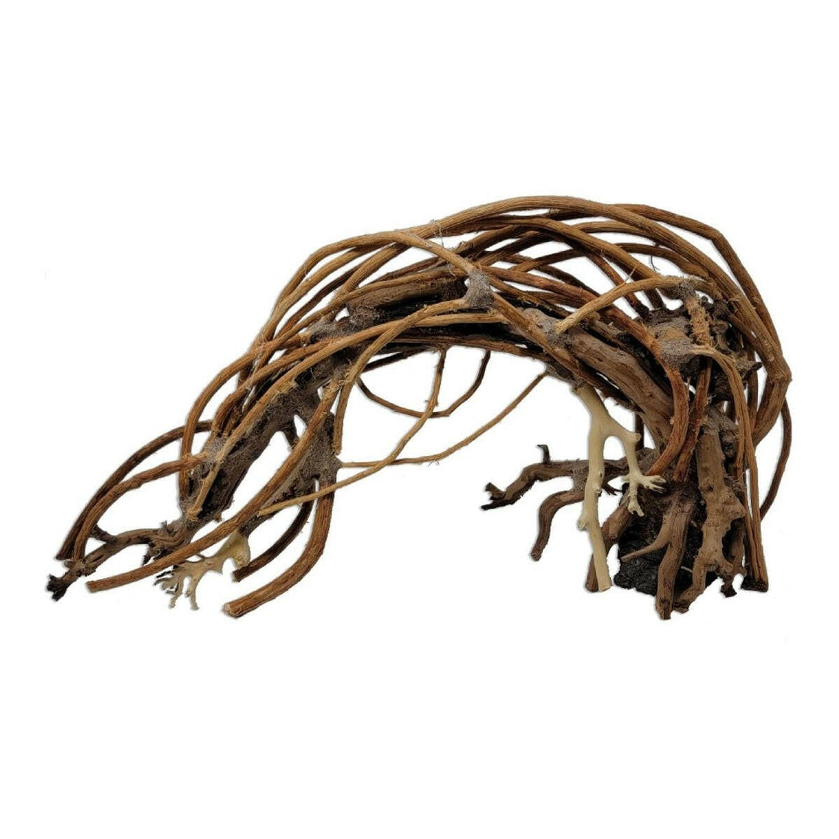 Tideline Naturescapes Tideline