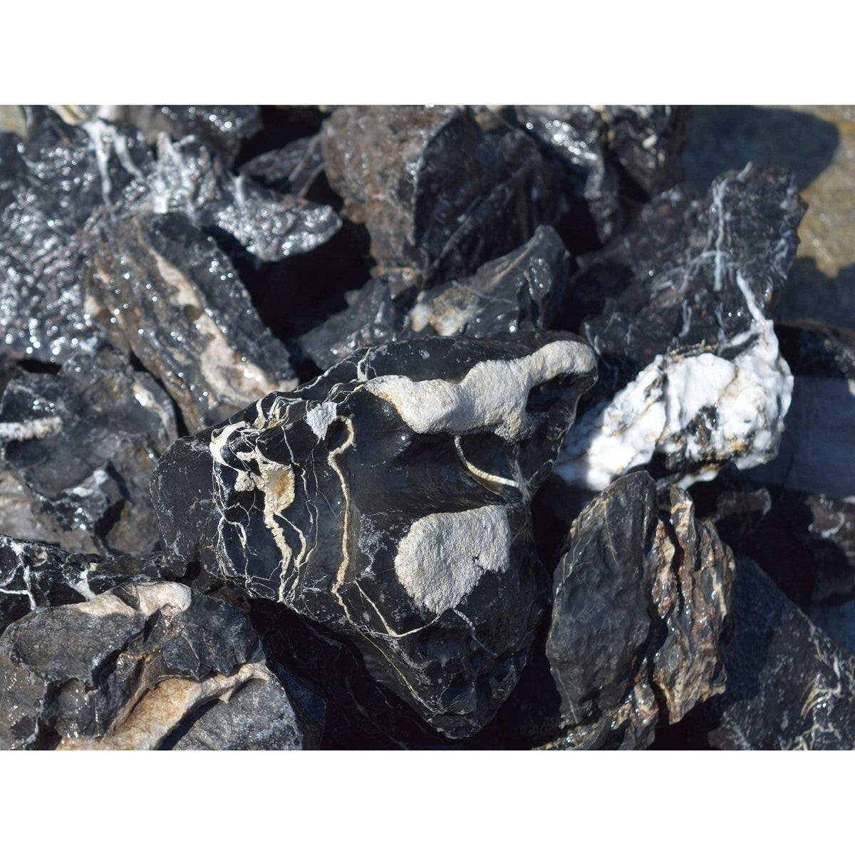 Tideline Naturescapes Tideline Black Marbled Seiryu Stone Tideline