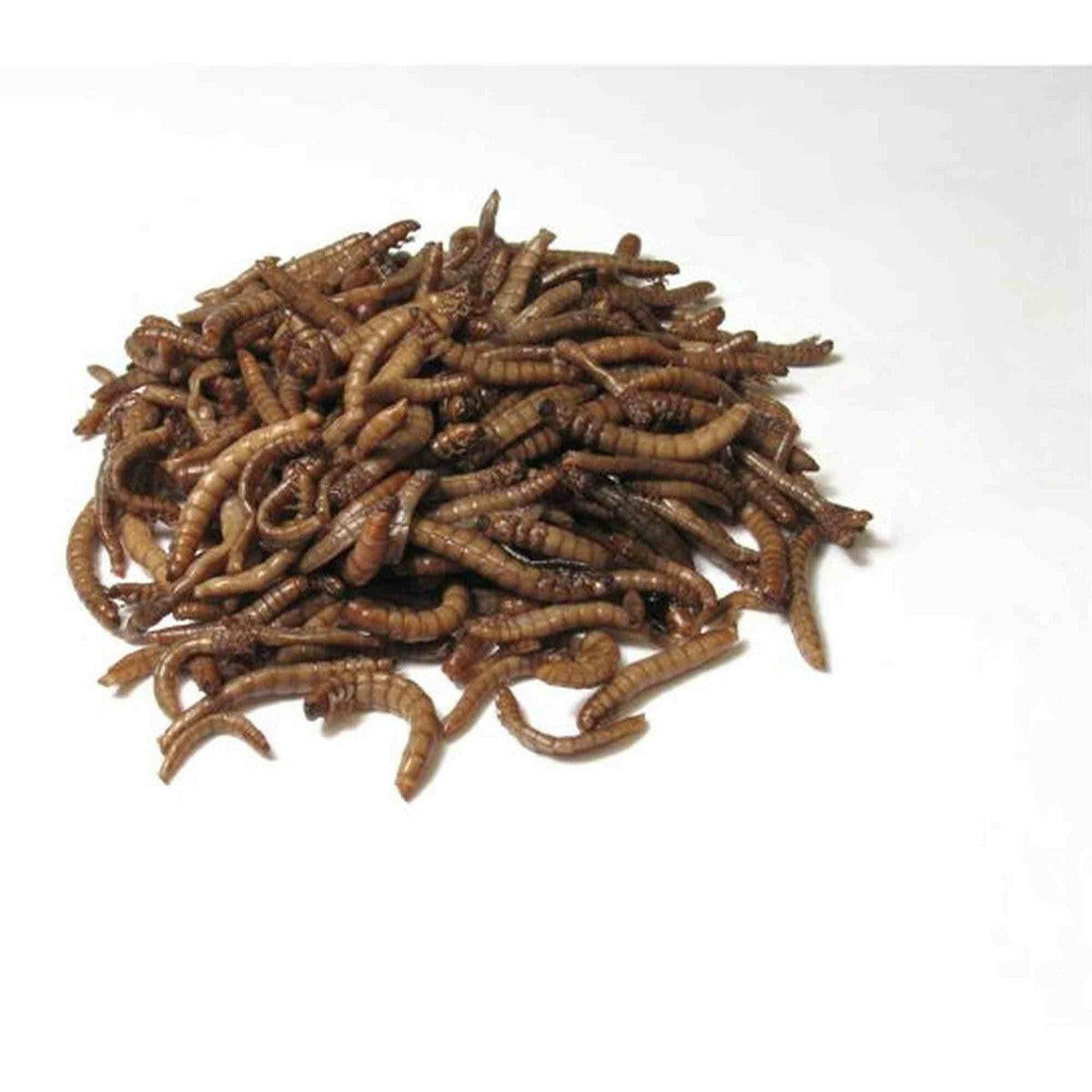 Timbuktu Outdoors Birdwatcher's Choice Mealworms Timbuktu Outdoors