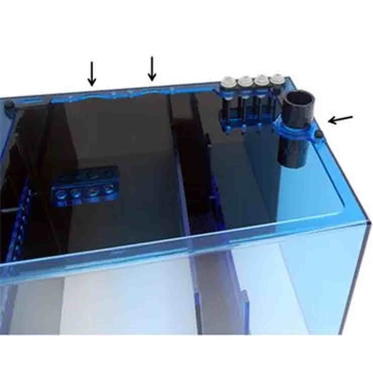 Trigger Systems Aquamarine Triton Reef Sump 44-v2 Trigger Systems