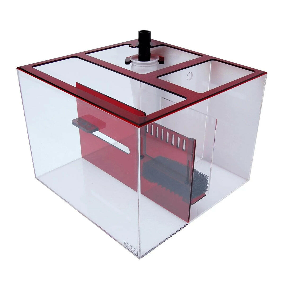 Trigger Systems Ruby Cube