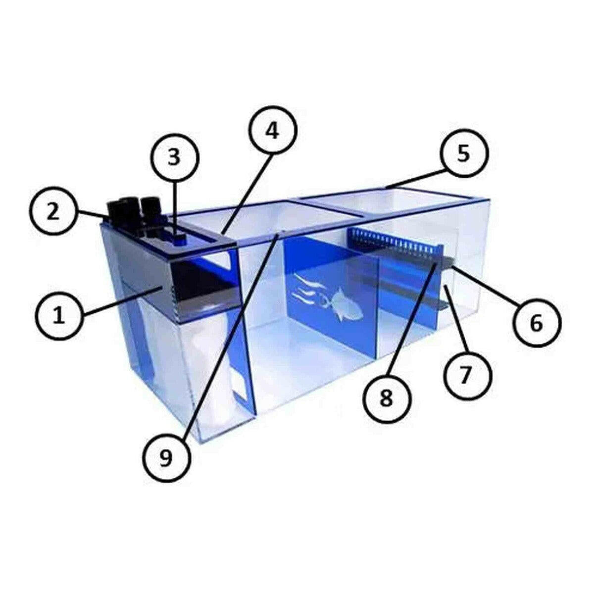 Trigger Systems Sapphire Sump 39" x 16" x 15" Trigger Systems