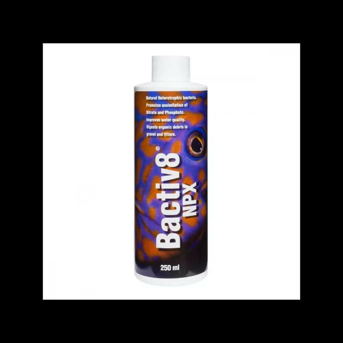 Two Little Fishies Bactiv8 Two Little Fishies