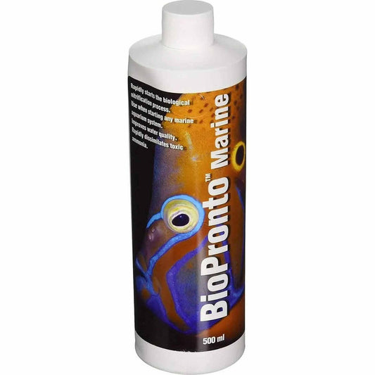 Two Little Fishies BioPronto Marine Two Little Fishies