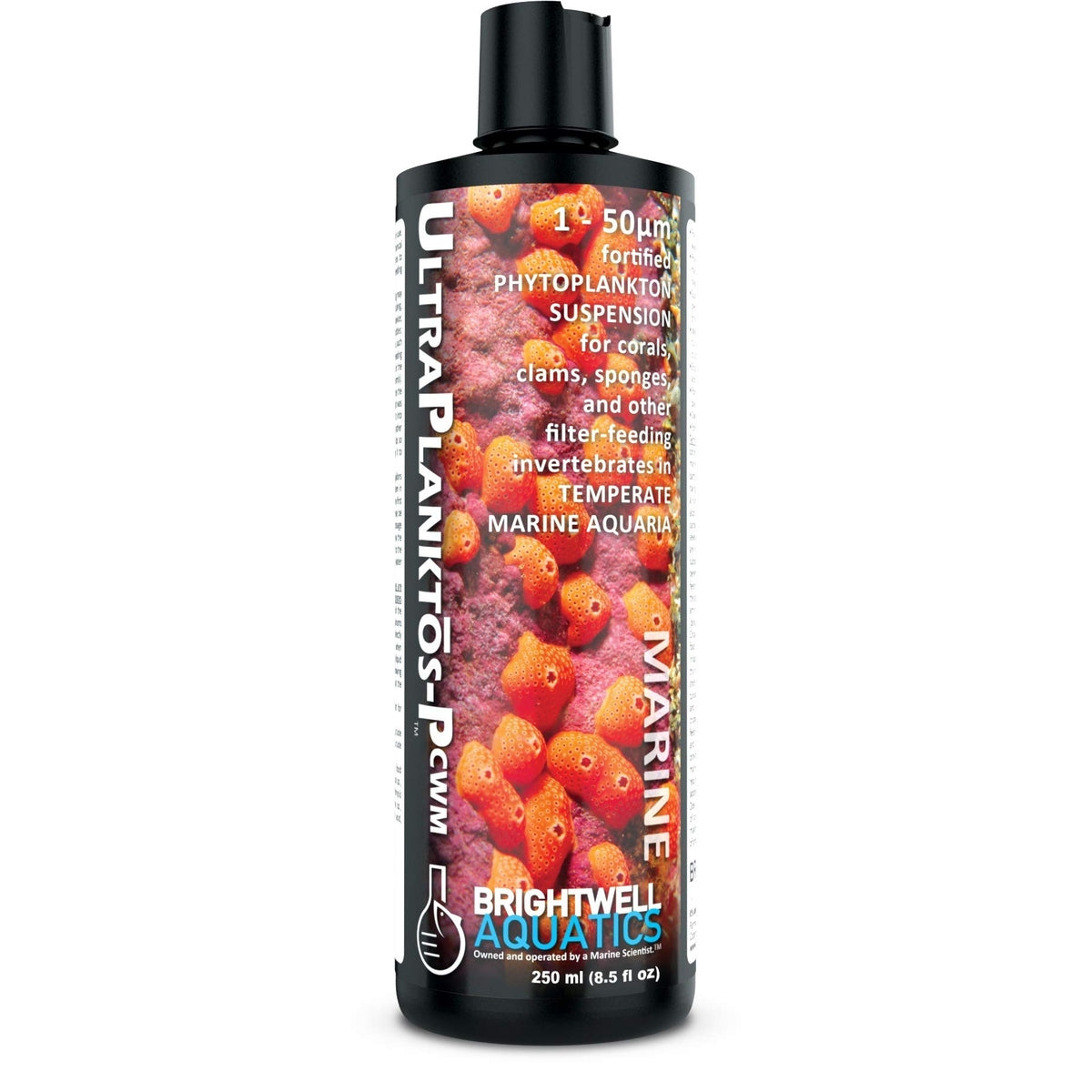 UltraPlanktos P CWM – Fortified Phytoplankton Suspension for Cold-Water Marine Invertebrates Brightwell Aquatics