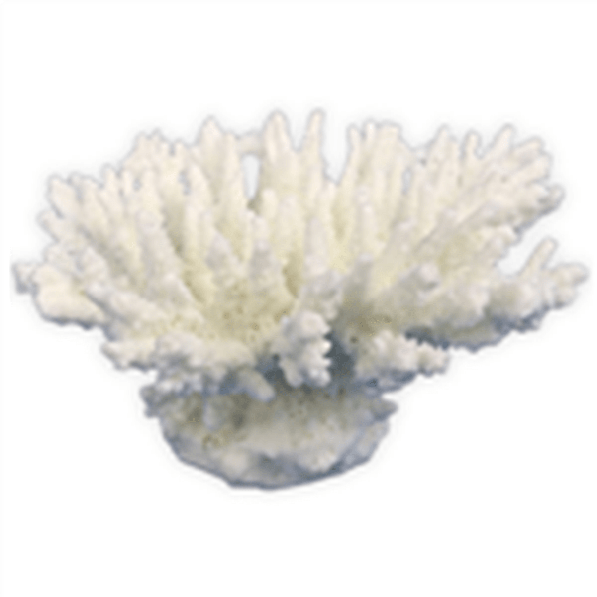 Weco Tabletop Coral White - XSmall Weco