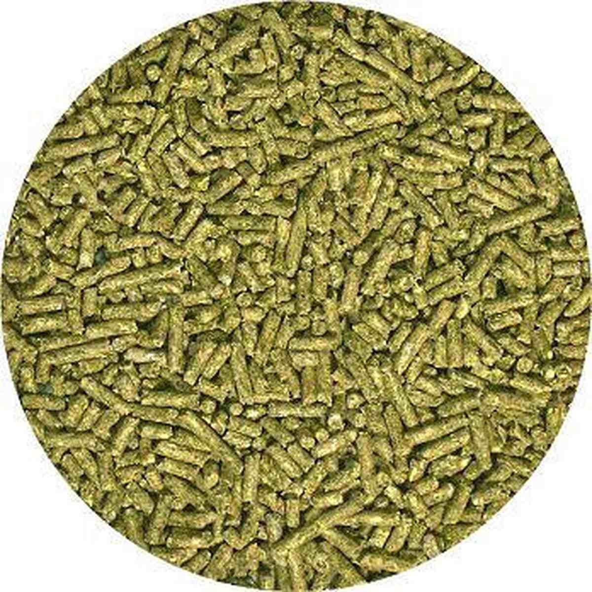 Zoo Med Iguana Food – Juvenile Formula.