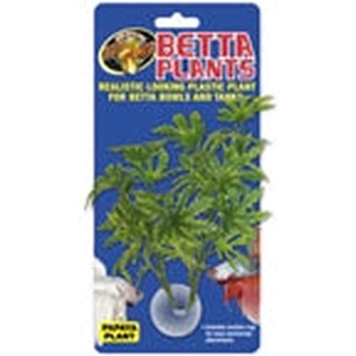 ZooMed Betta Plant - Papaya ZooMed