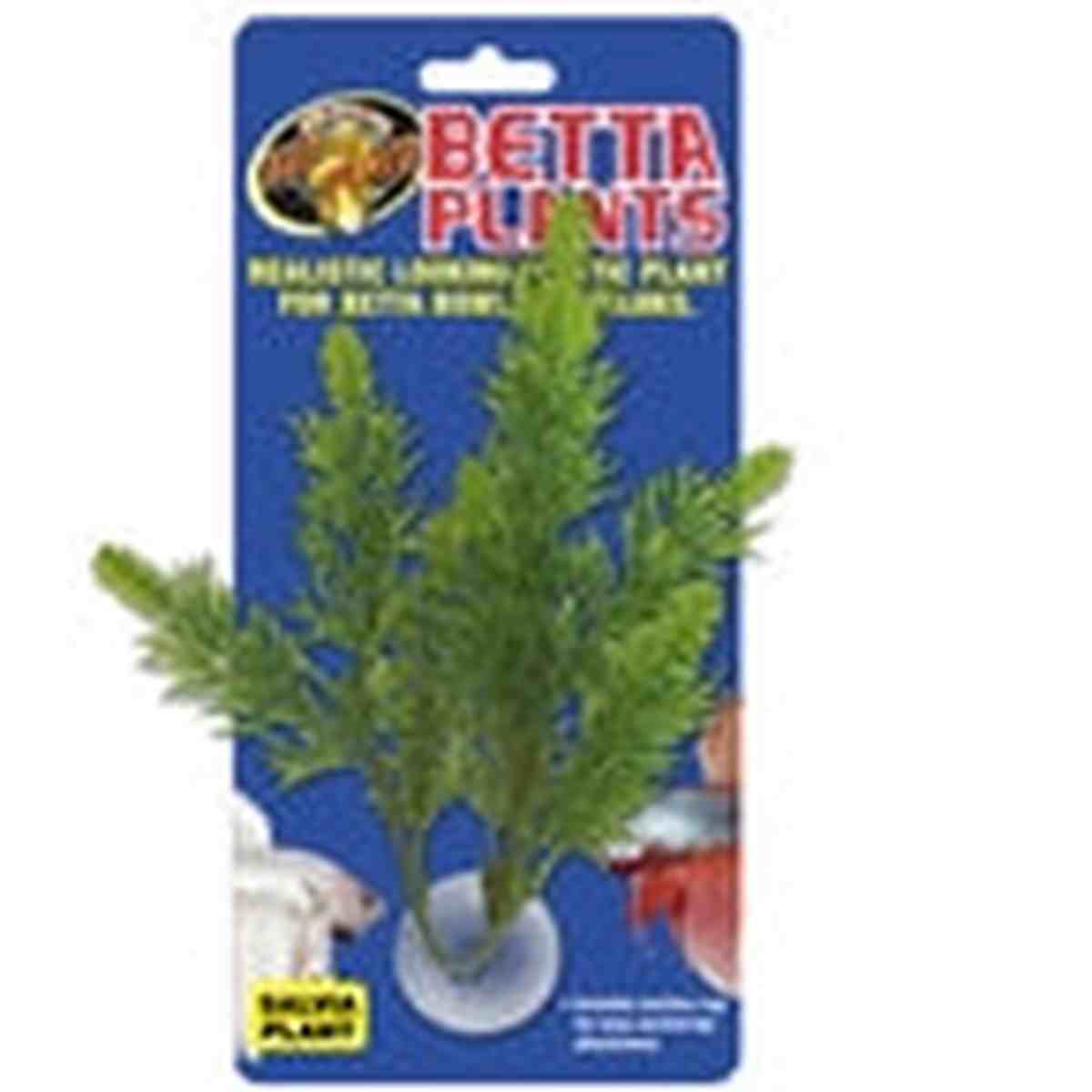 ZooMed Betta Plant - Salvia ZooMed