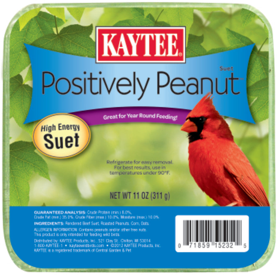 Kaytee Positively Peanut High Energy Mini Suet
