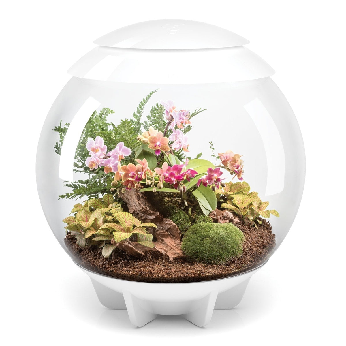 biOrb AIR 60 LED Terrarium - WHITE BiOrb