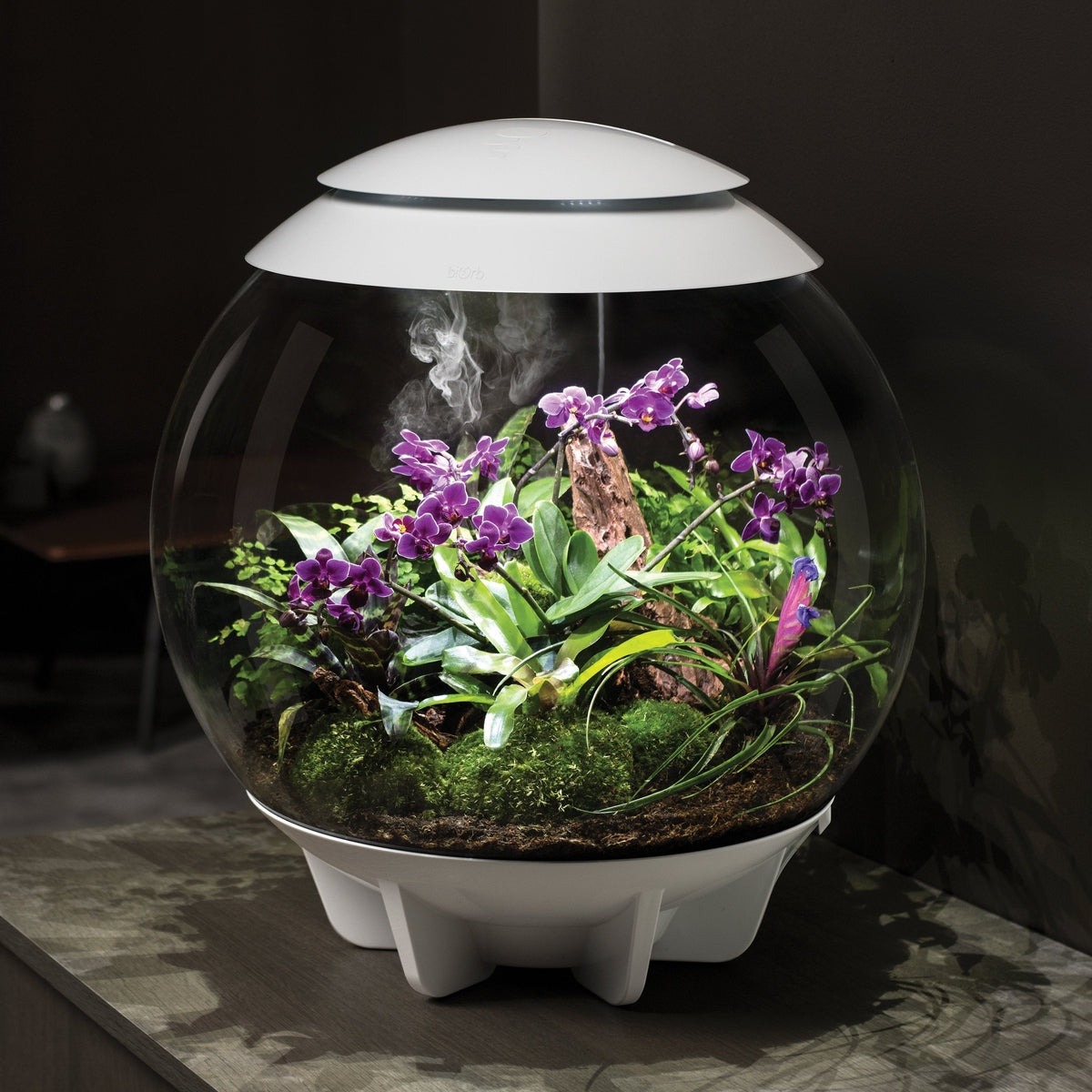 biOrb AIR 60 LED Terrarium - WHITE BiOrb